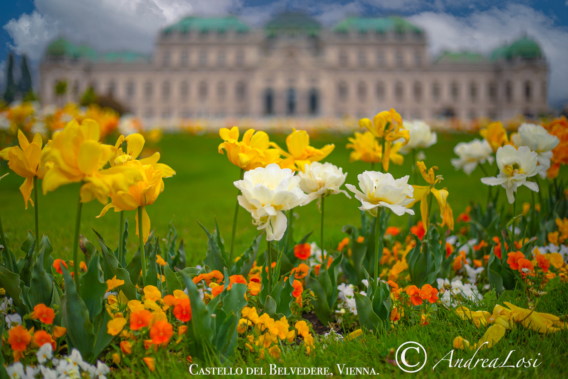 Vienna Belvedere