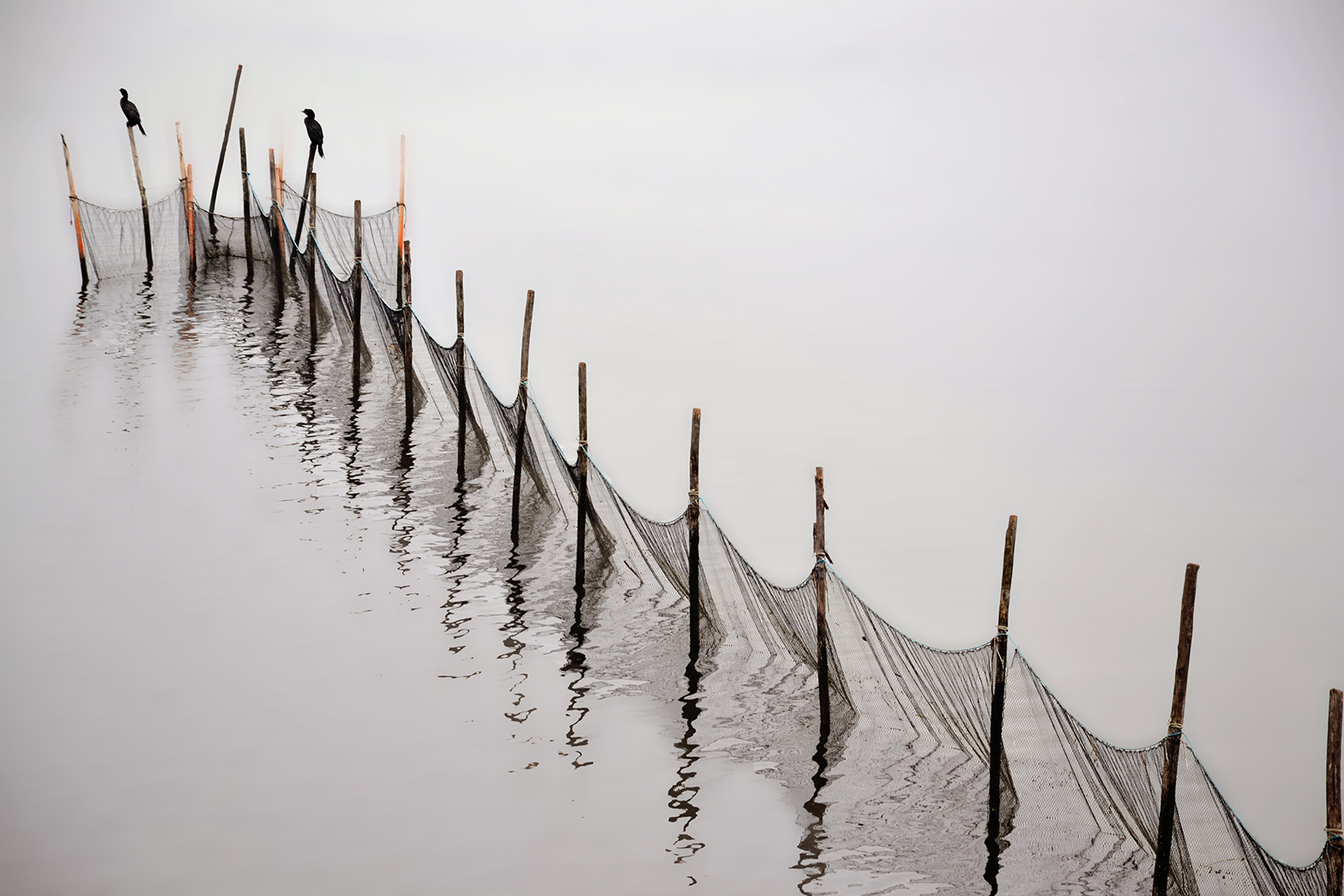 On the Delta