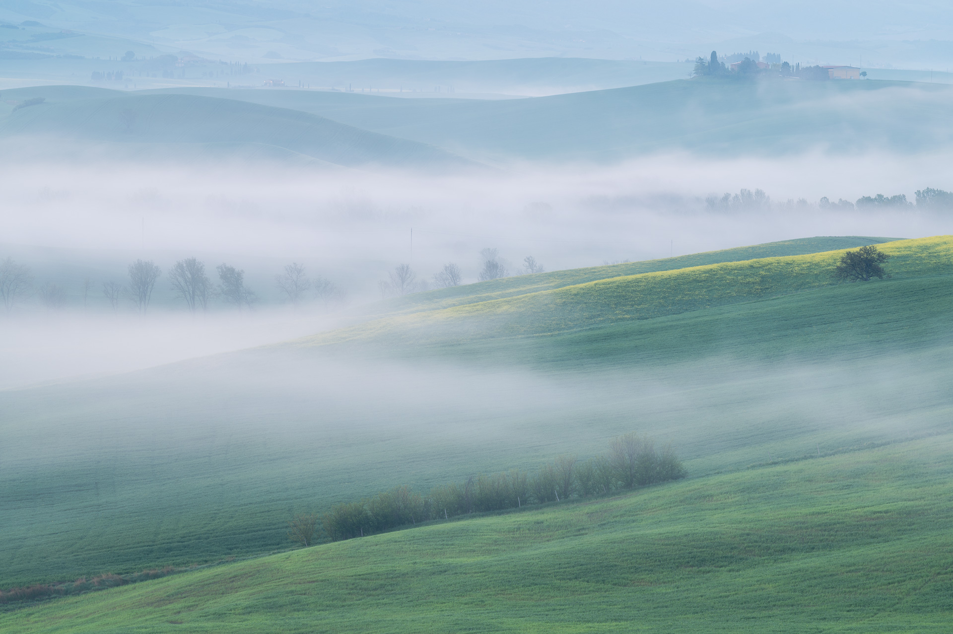 Fog in the hills