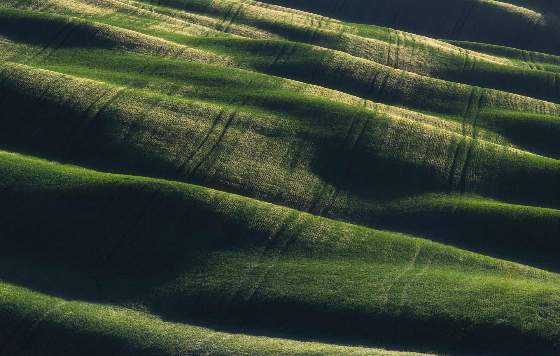 Green waves