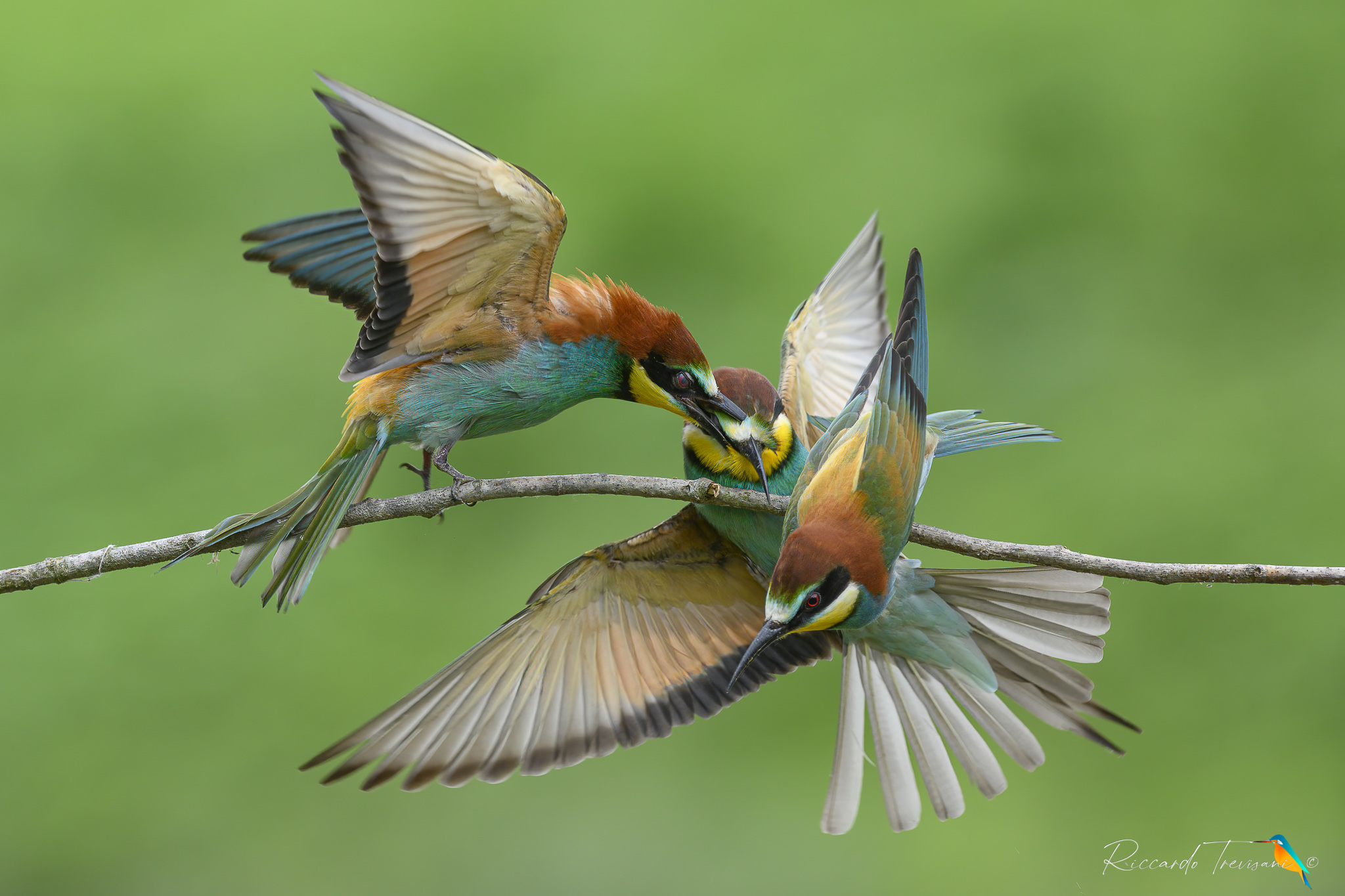 First rule of the Fight Club: never talk about F.c.