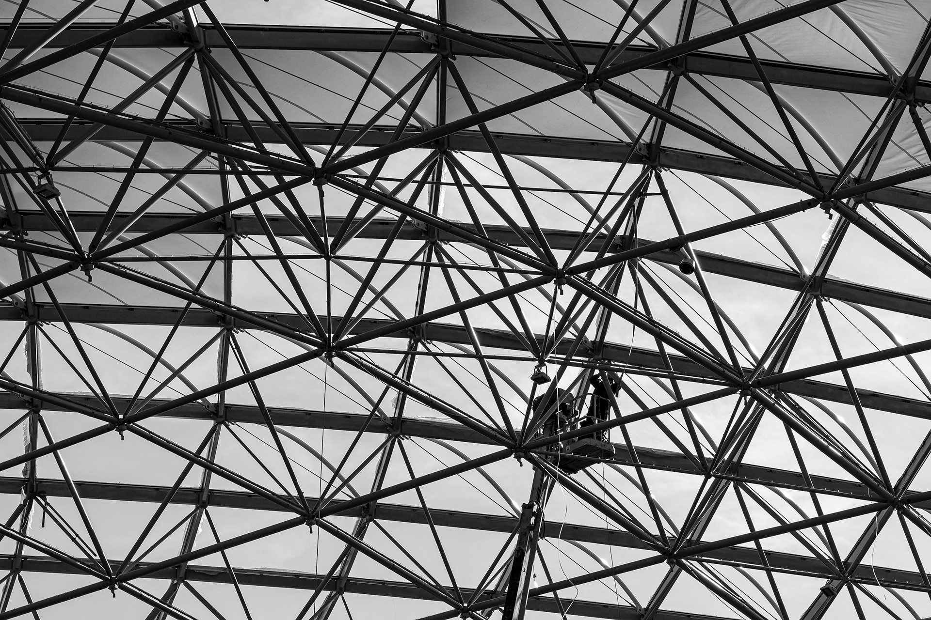 Untitled Photo