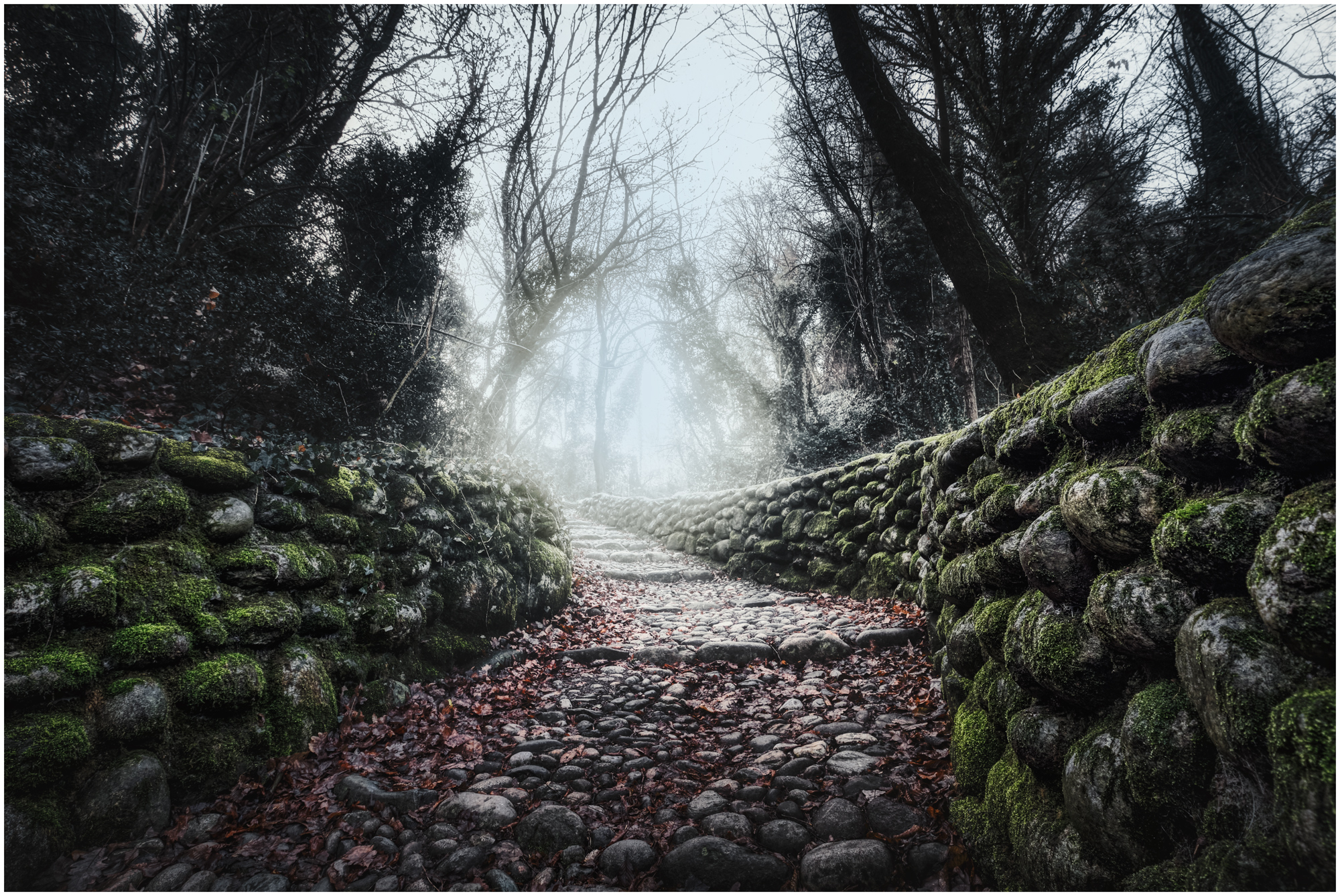 Quella stradina che porta al fiume....