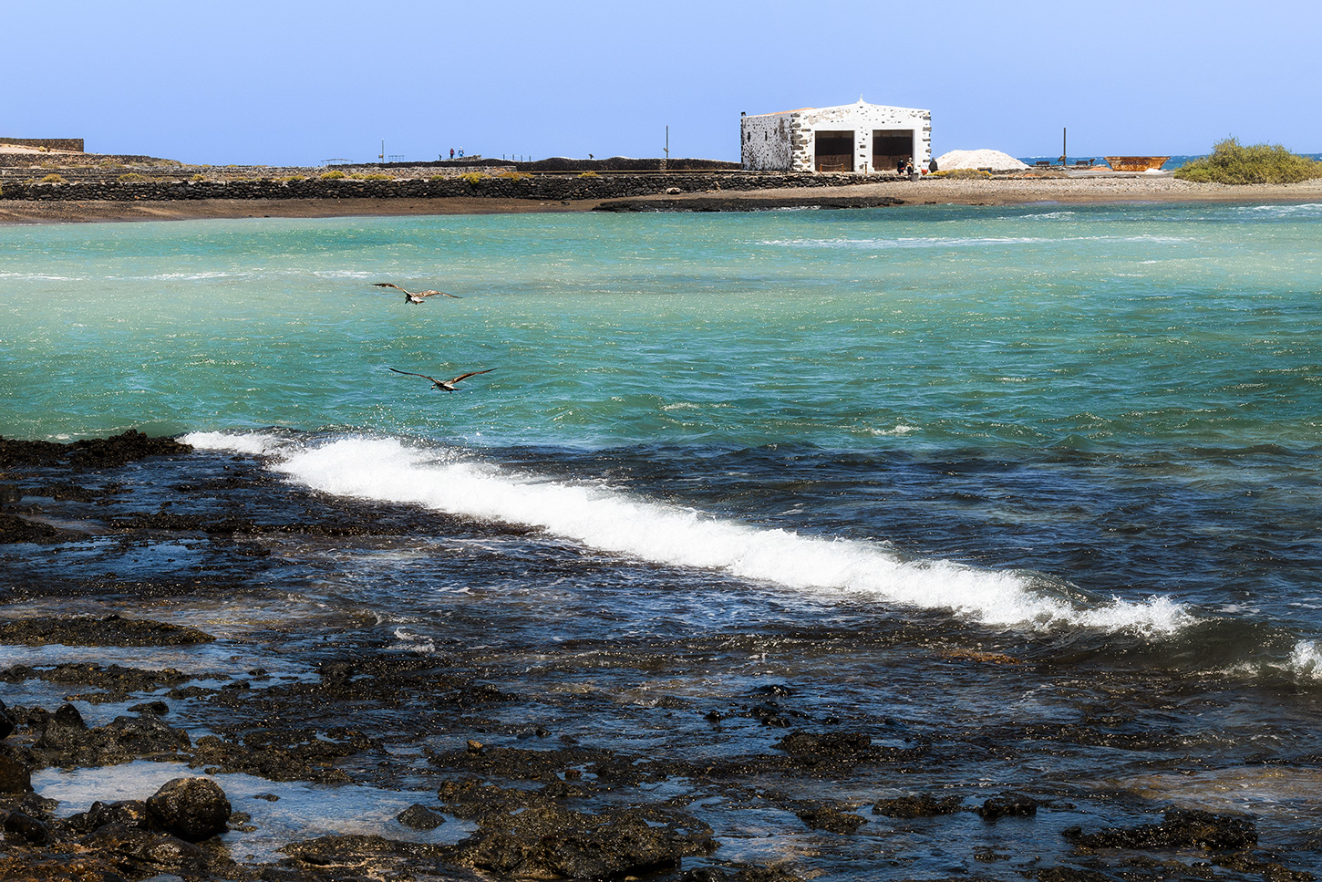 Las Salinas del Carmen