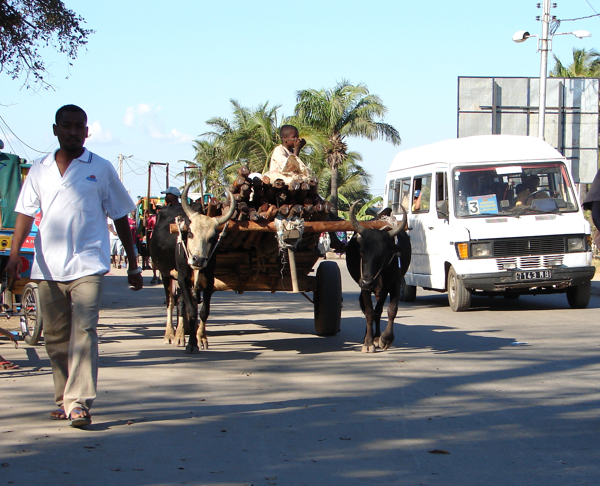 Libera circolazione x chiunque nelle strade di Mahjanga