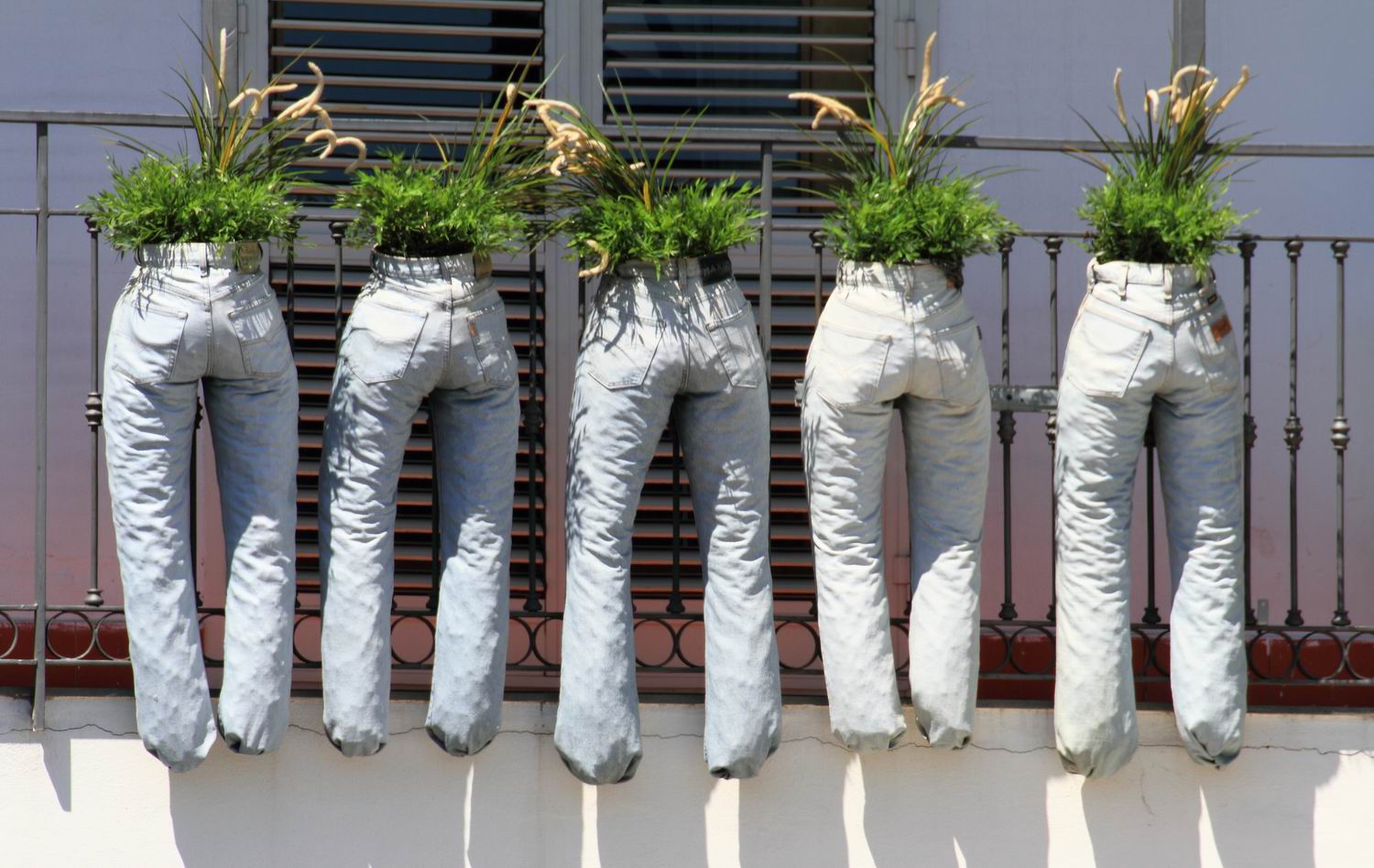 Planters in jeans