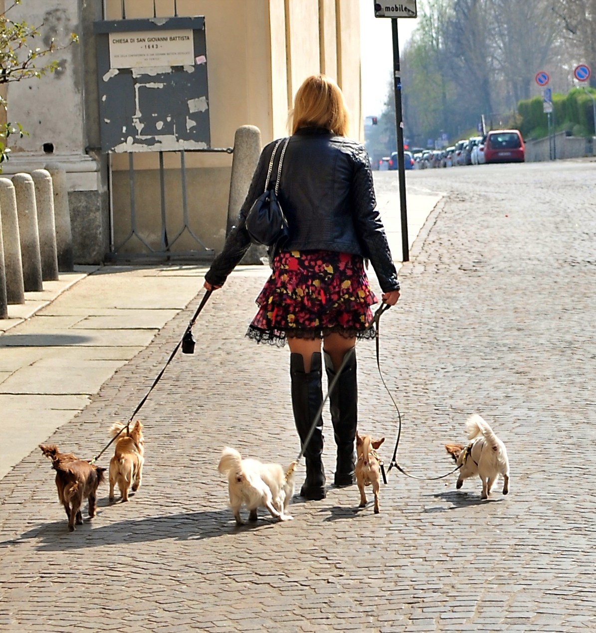 omd... oh my dogs!!!