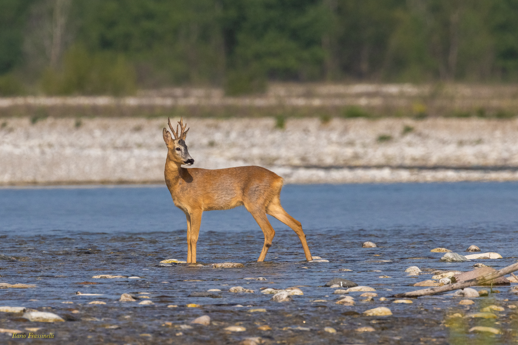 Attraversamento del fiume Piave