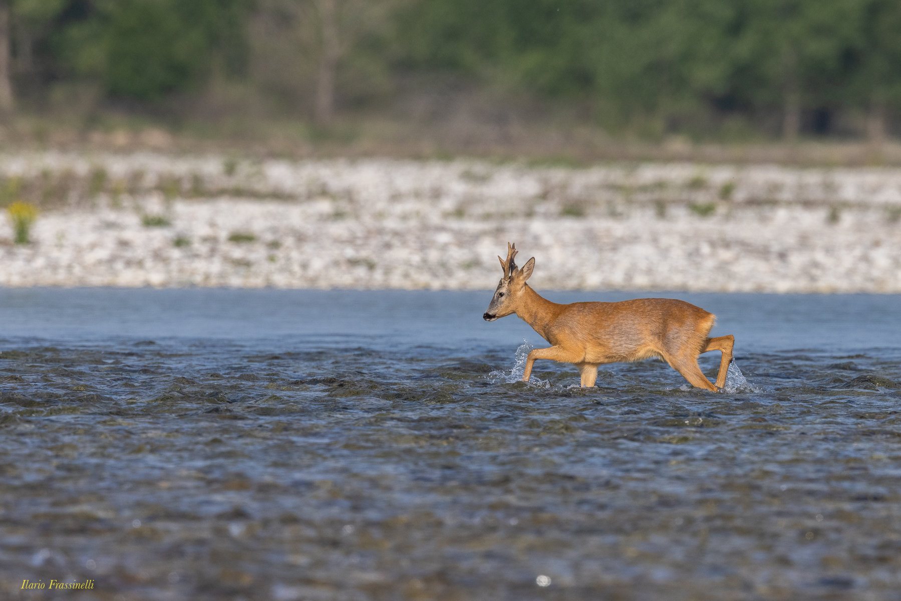 Attraversamento del fiume Piave