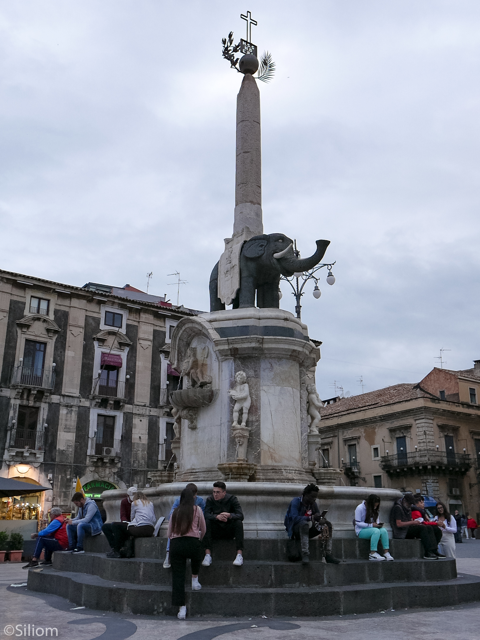 Elefante in piazza