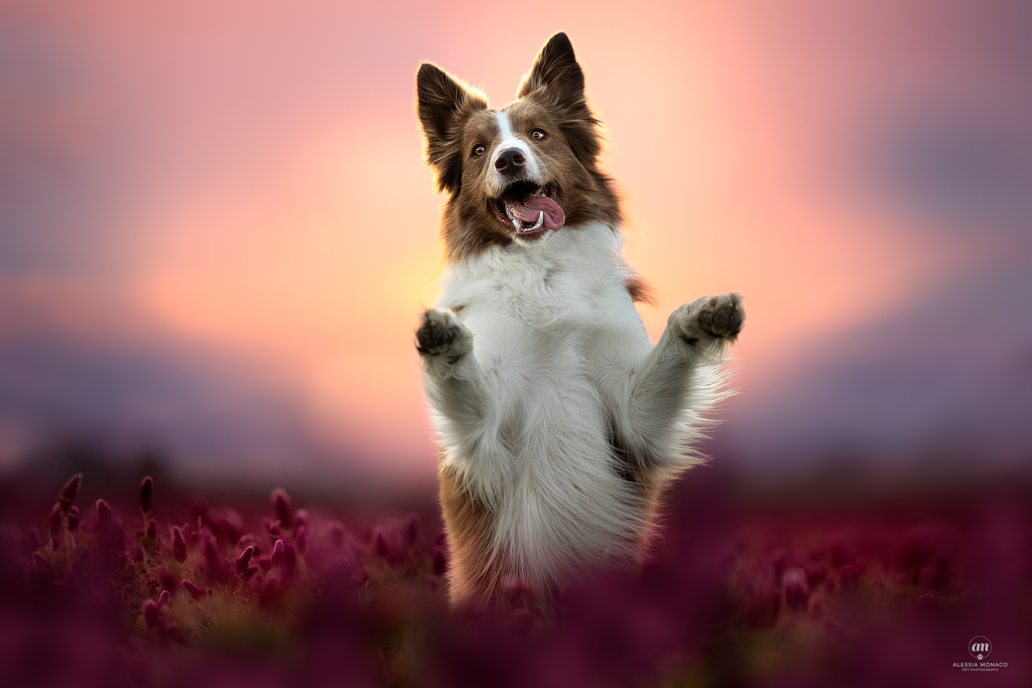 Happiness is...