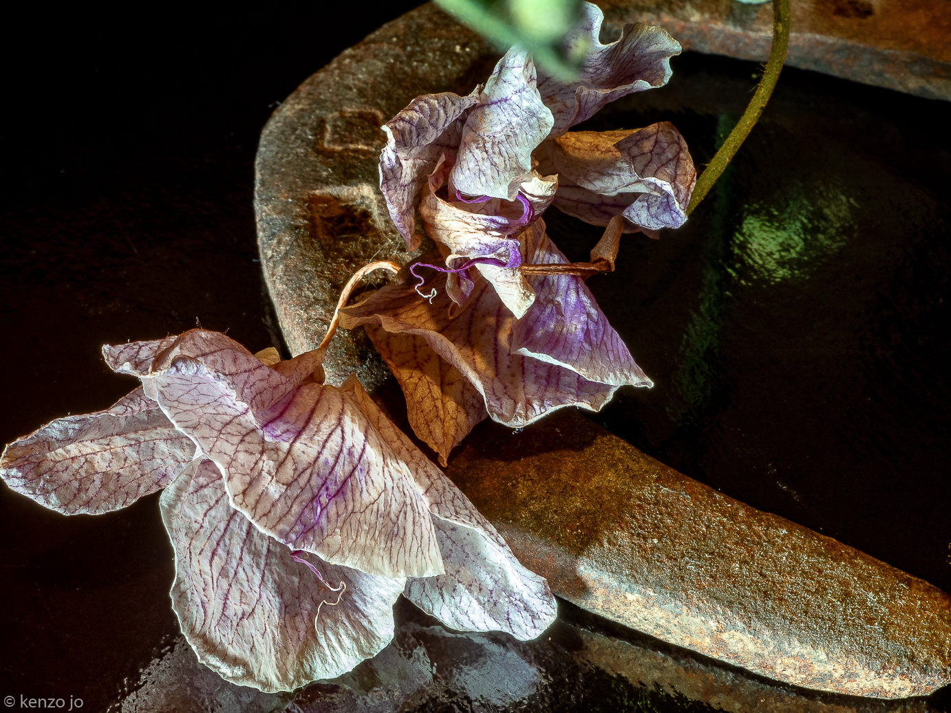 Come ossi di seppia, spiaggiati nel tempo