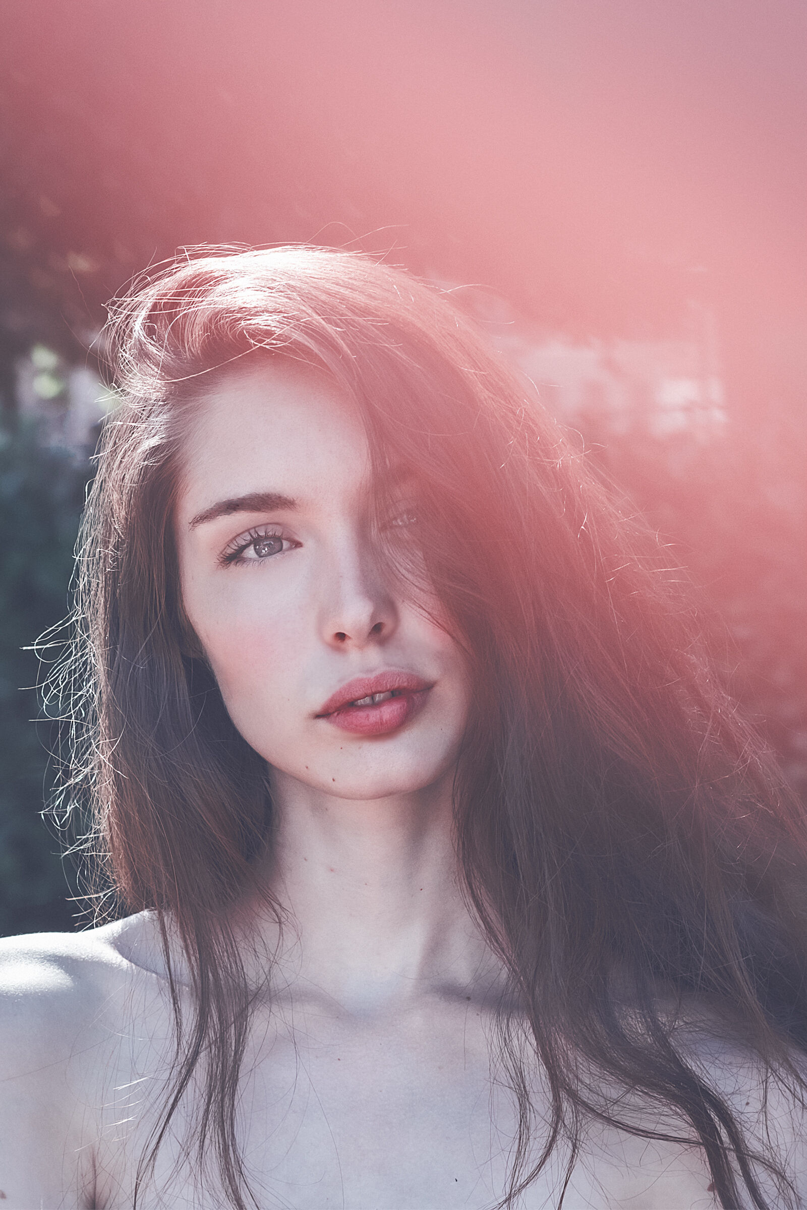 Ritorno ad Silvia Bandera dal 2017