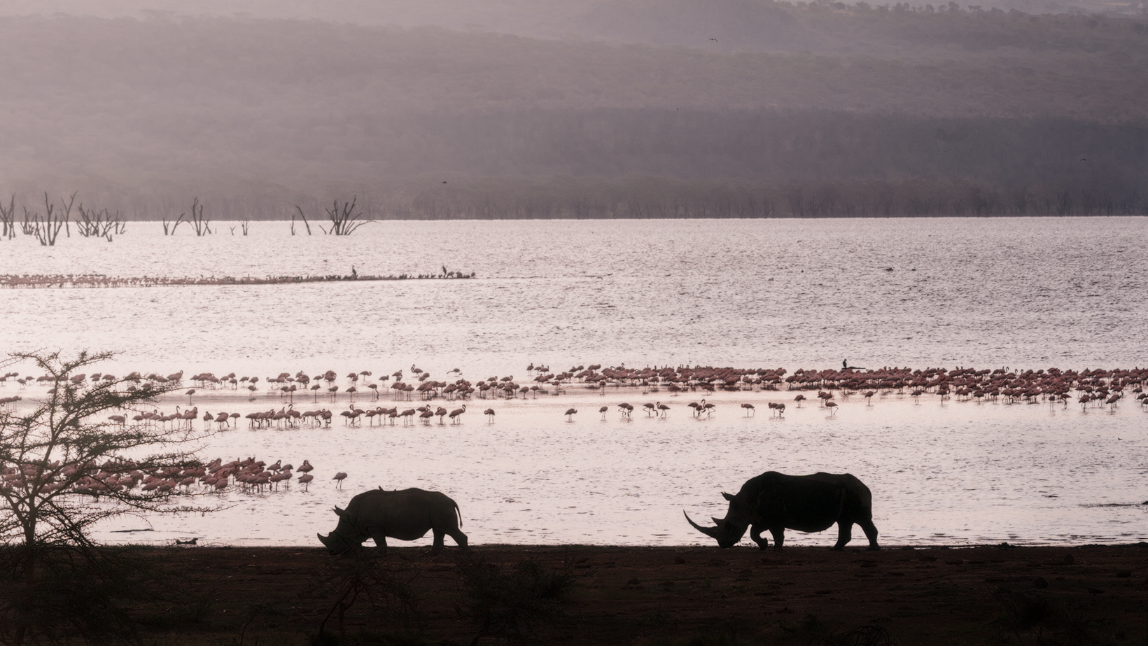 Tramonto al Nakuru