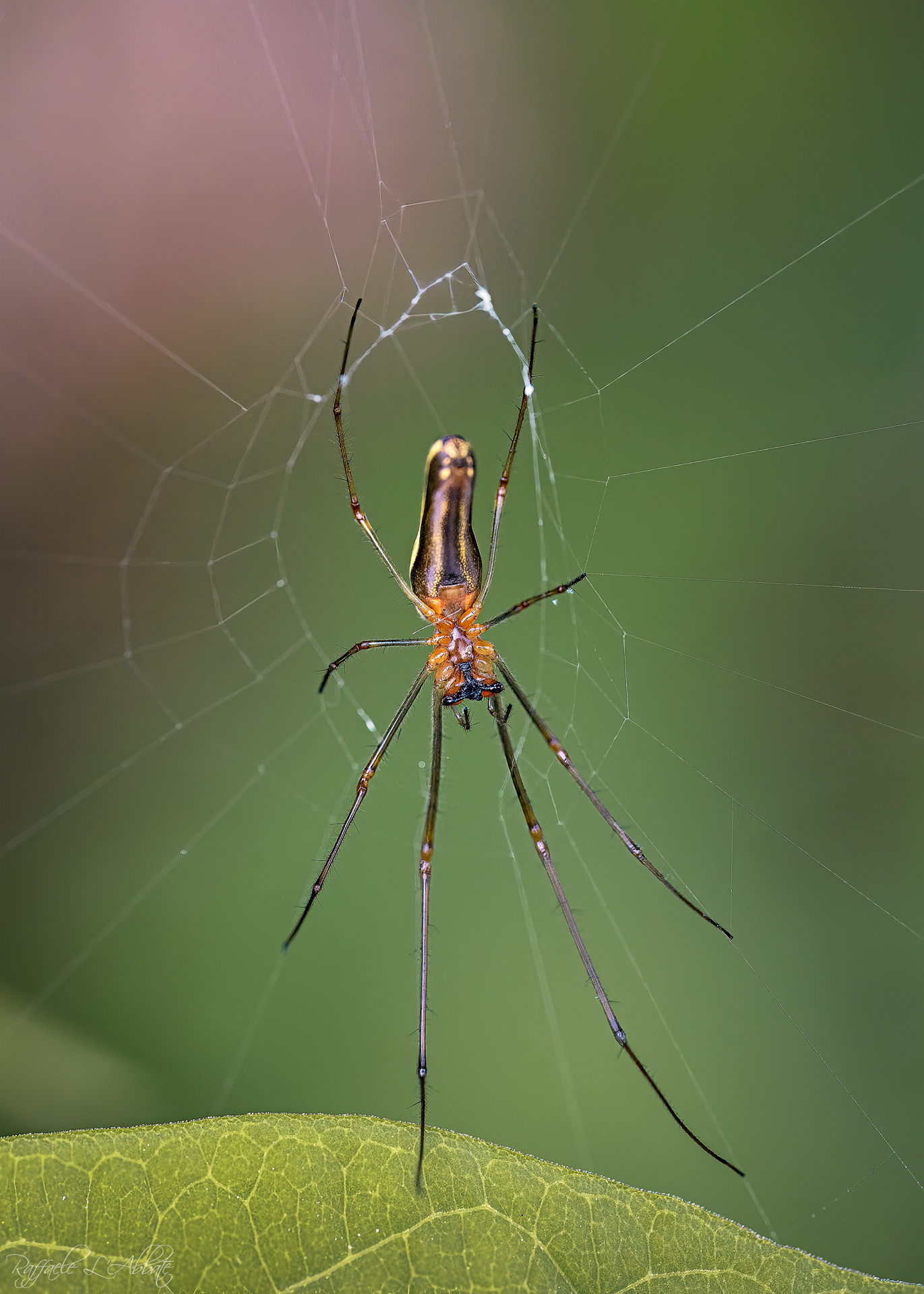Mi sento sotto sopra