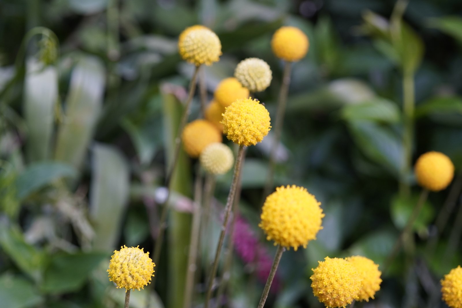 Untitled Photo