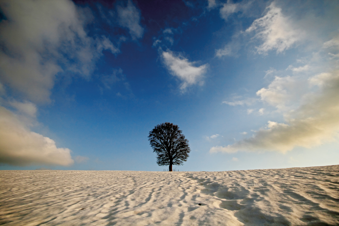L'albero scaccia-nuvole