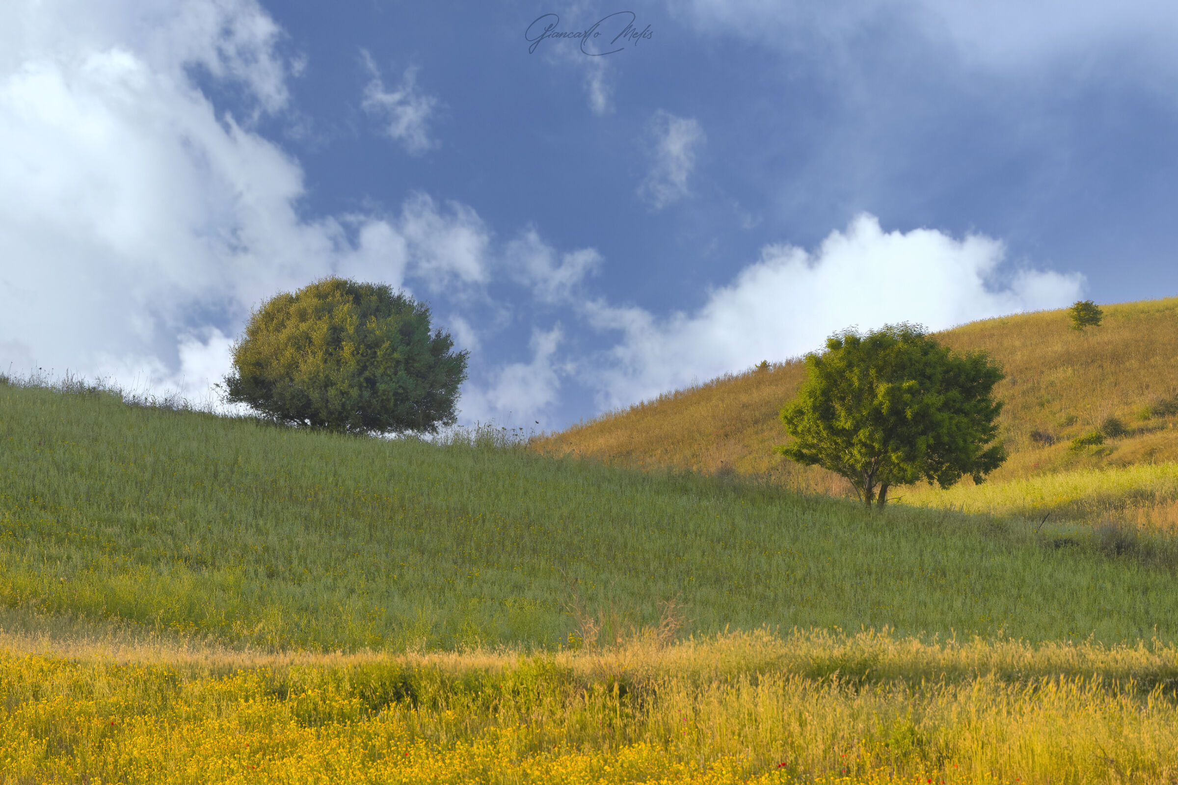 Spring