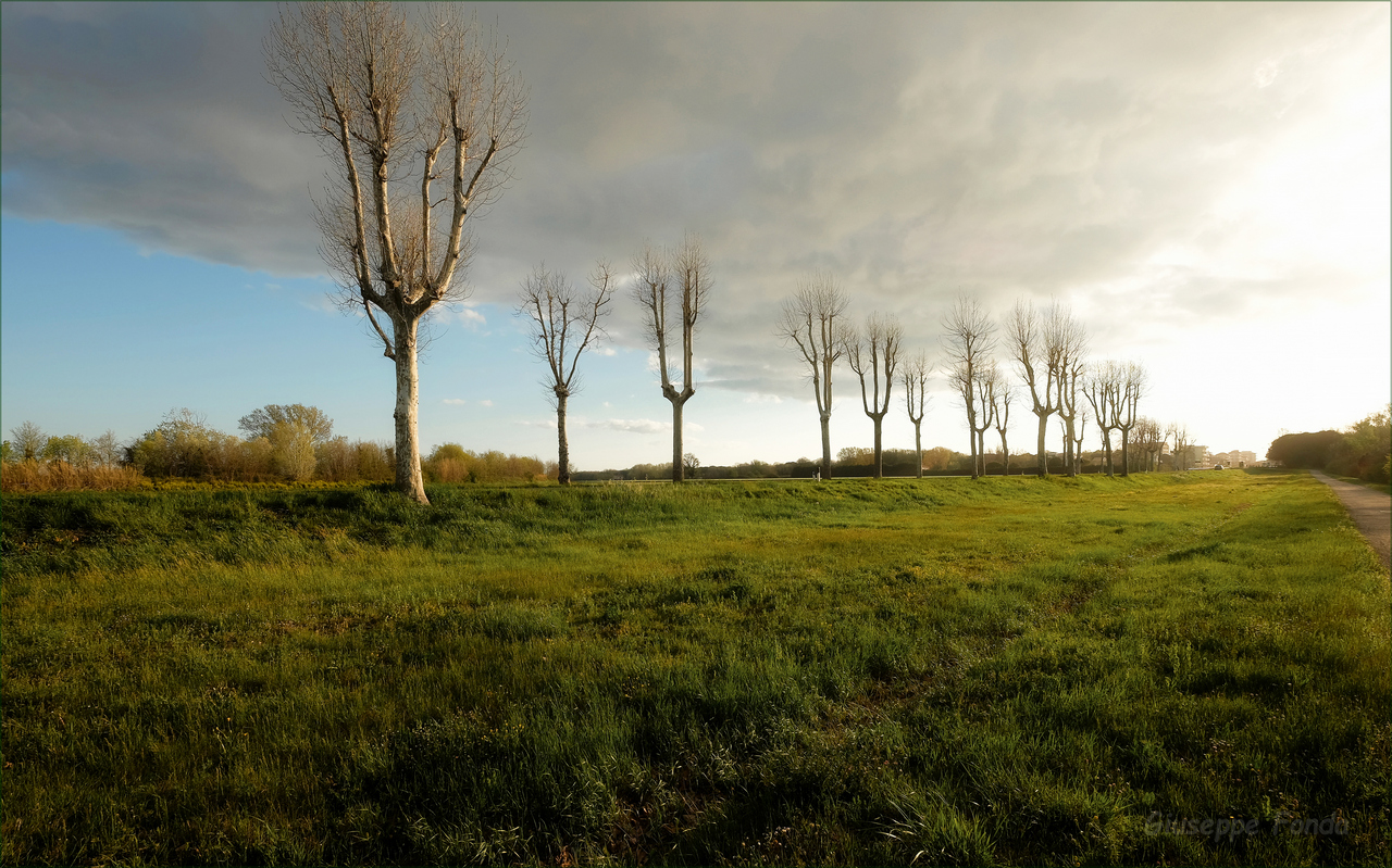 Una mattina così così..
