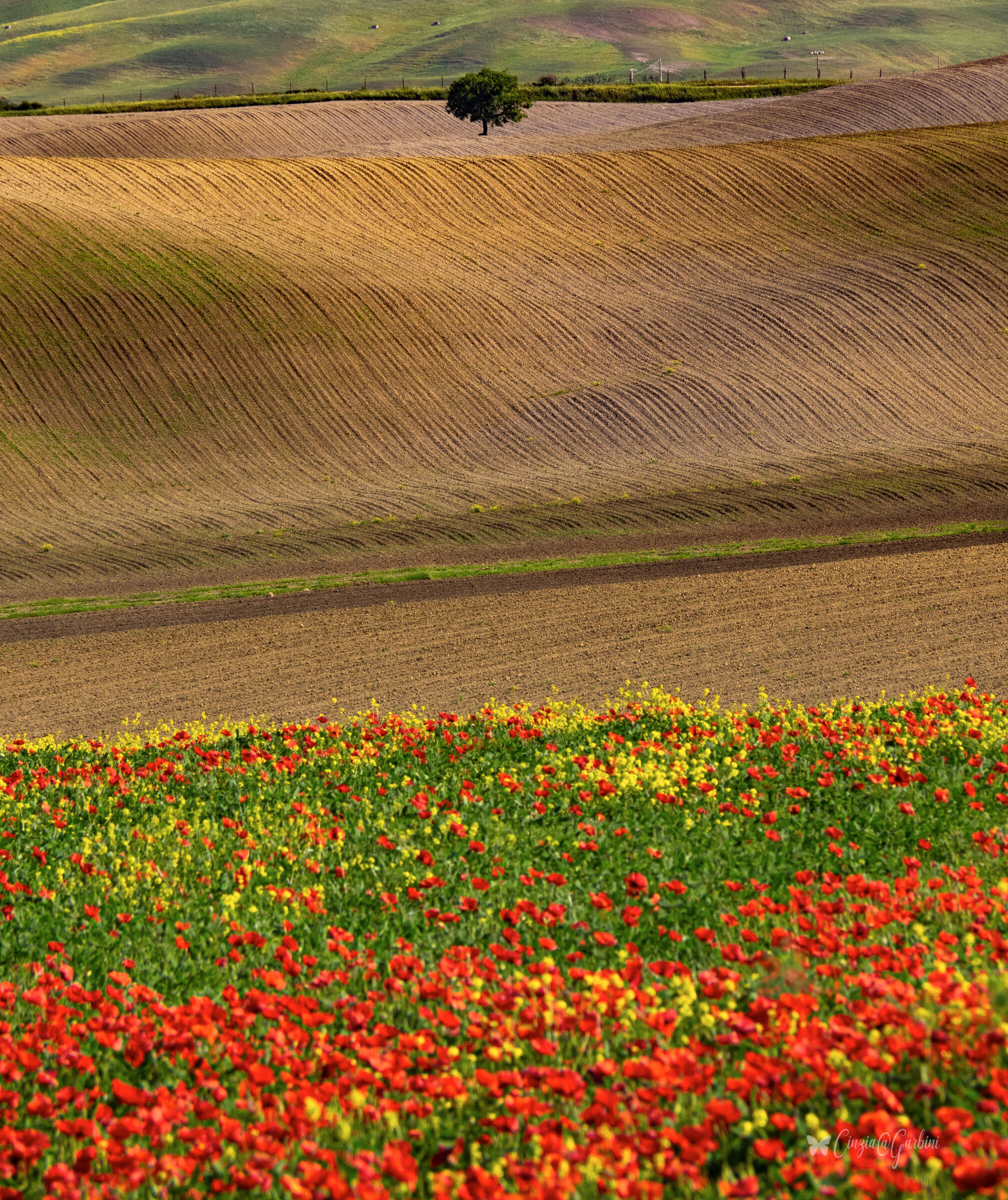 diversamente val d'orcia