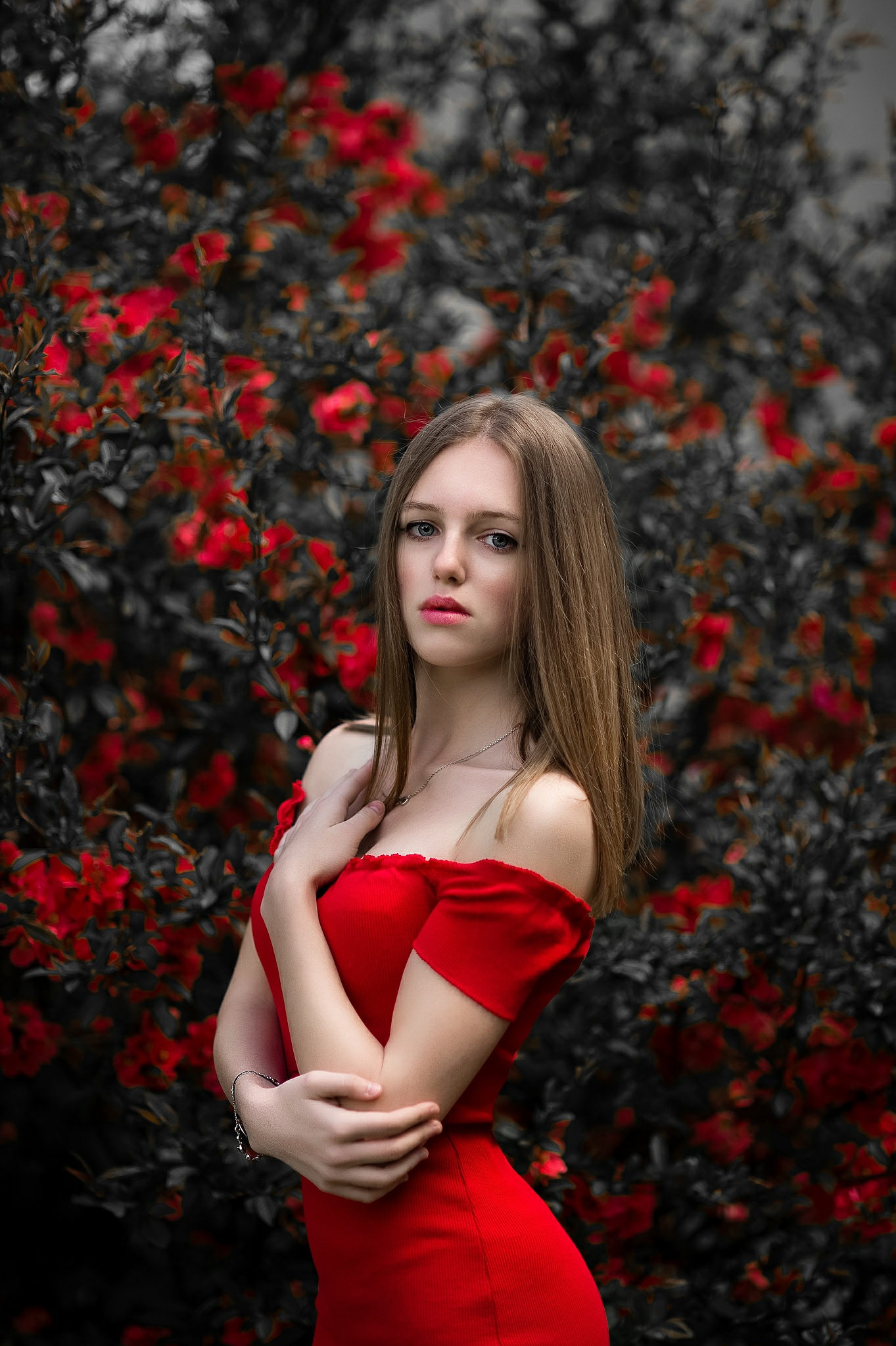 Untitled Photo
