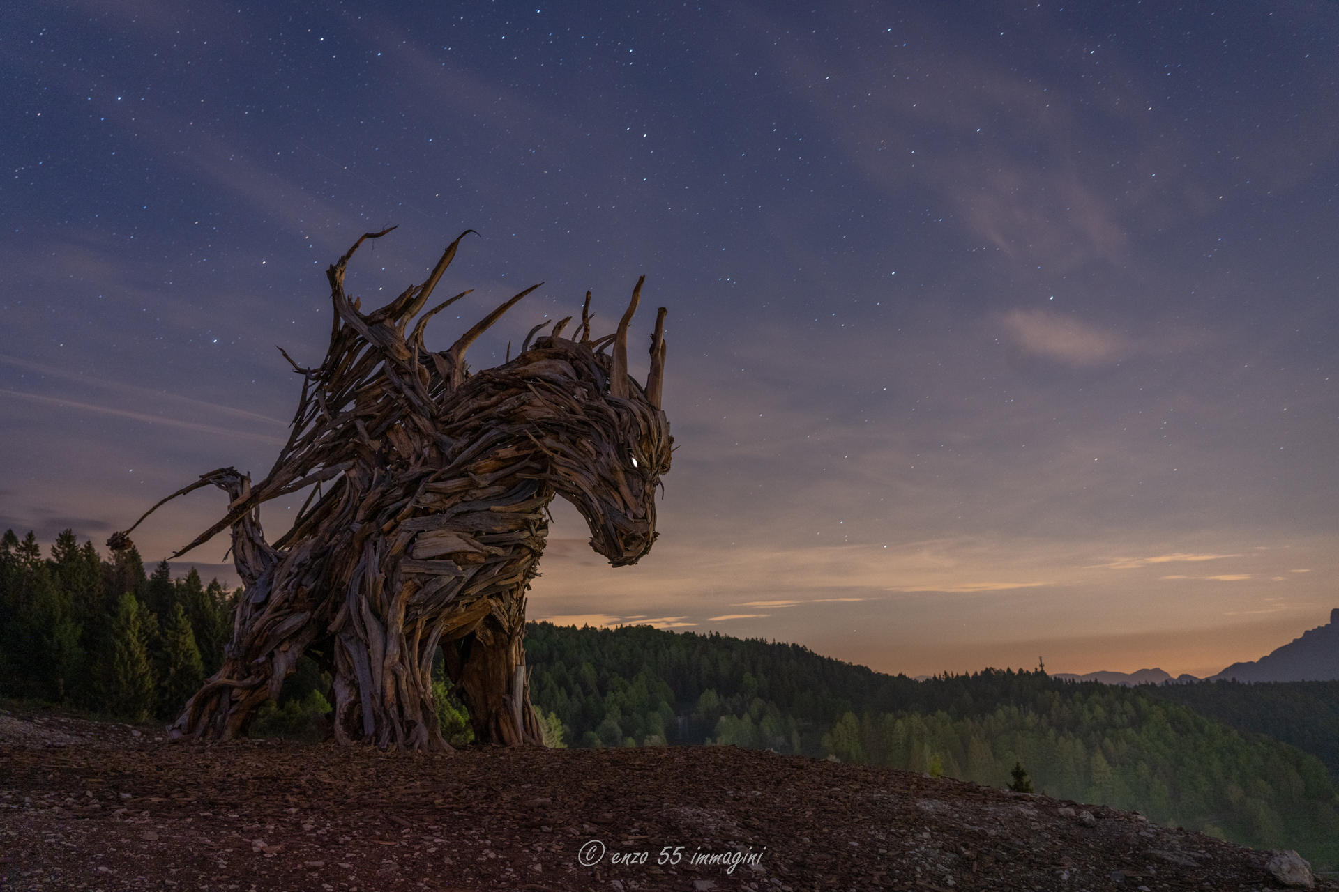 drago di vaia 1