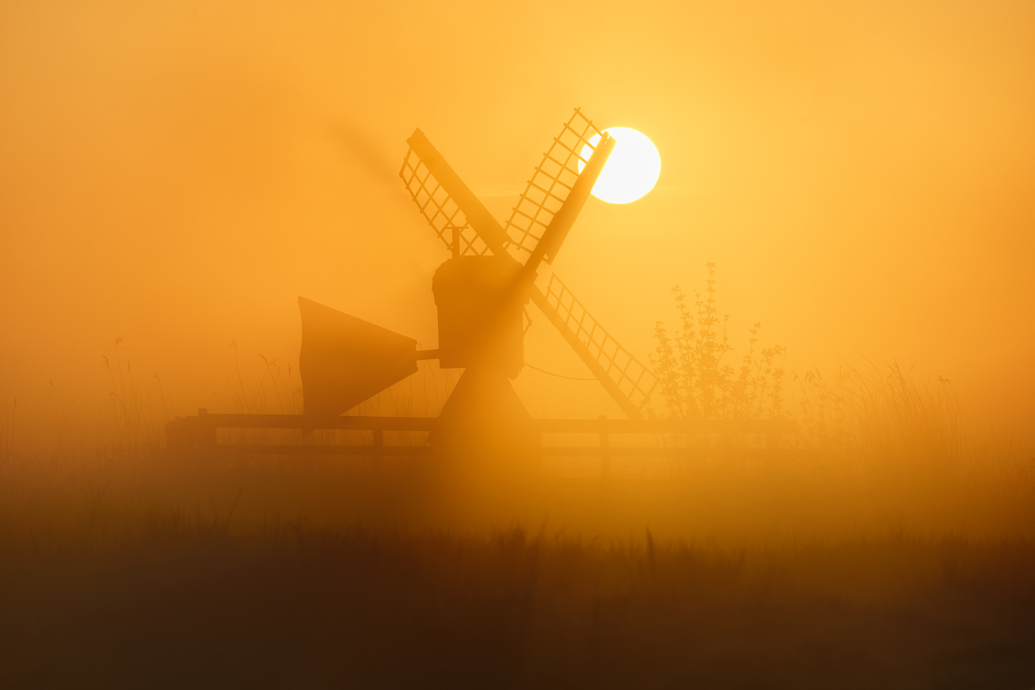 Golden Mill