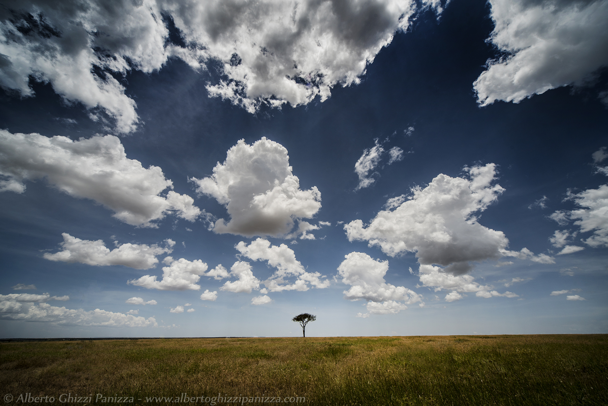 Le distese del Serengeti