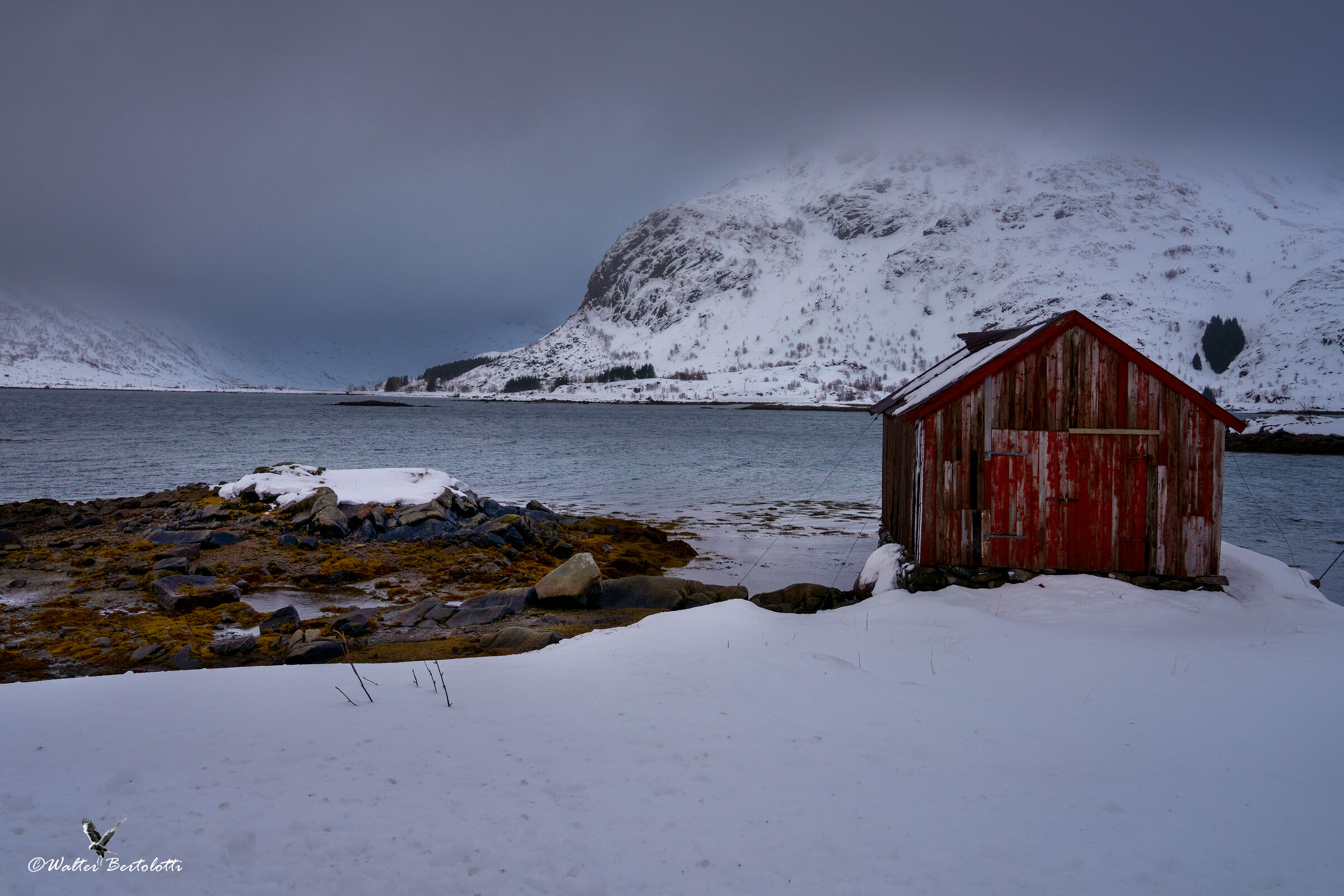 monolocale? non credo