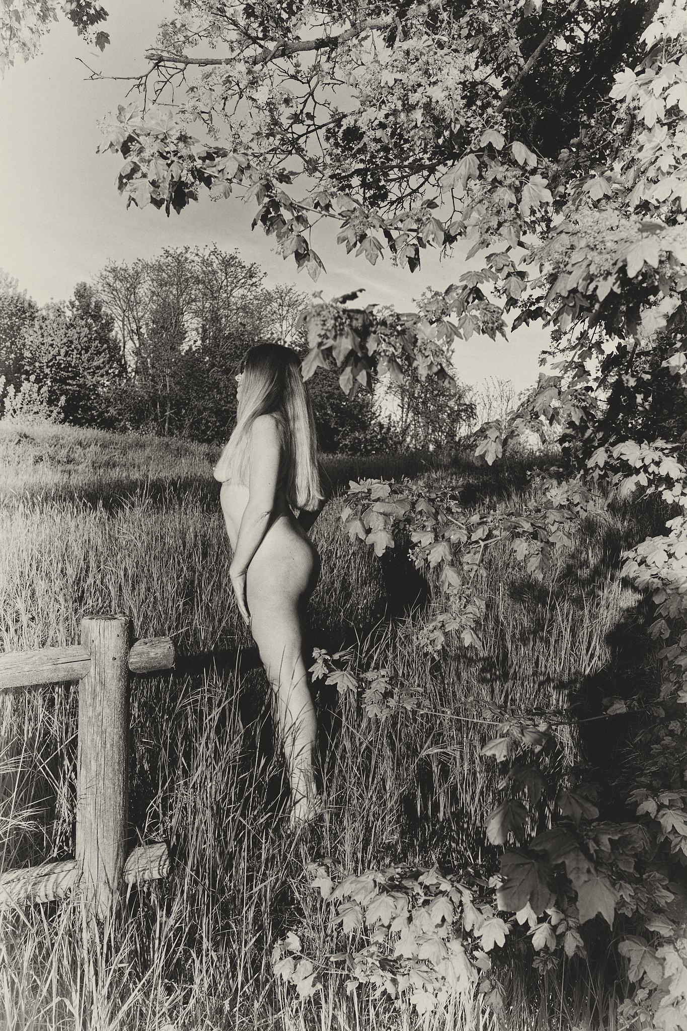 Nella natura