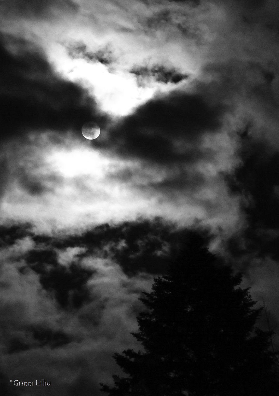 Marie, la vita ti sorprende sempre 19