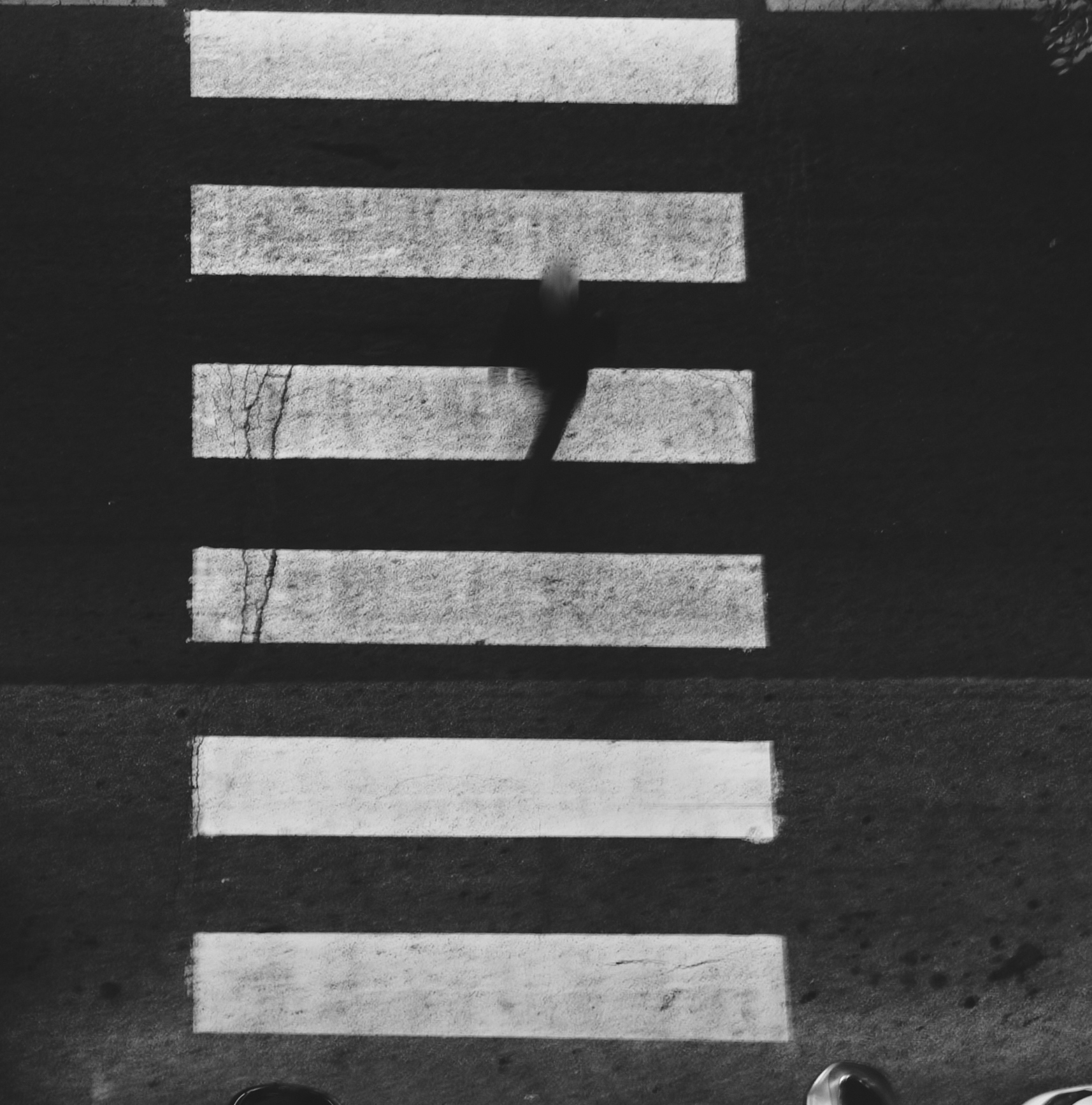 Untitled Photo