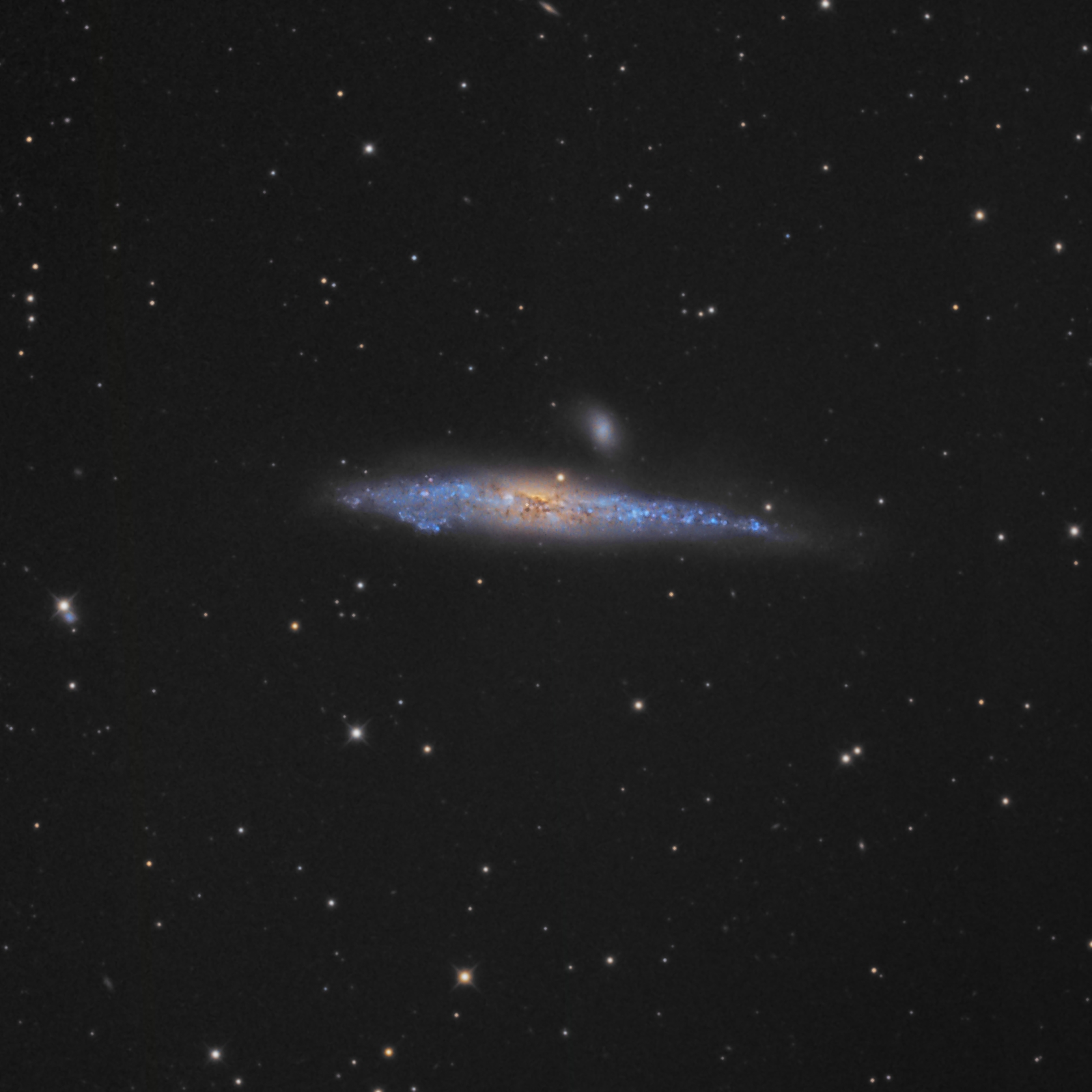 ngc4631