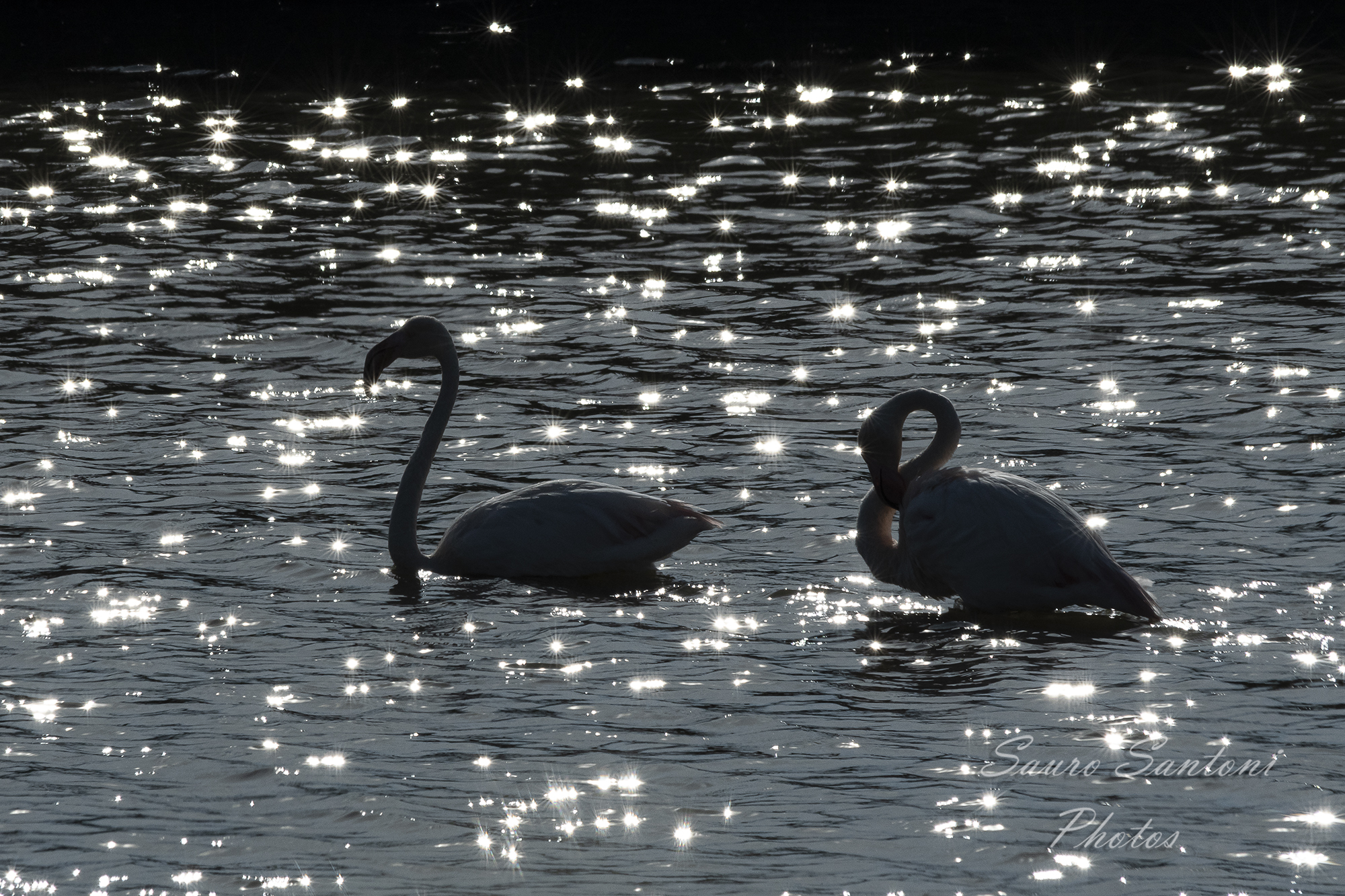 Valleys against the light......