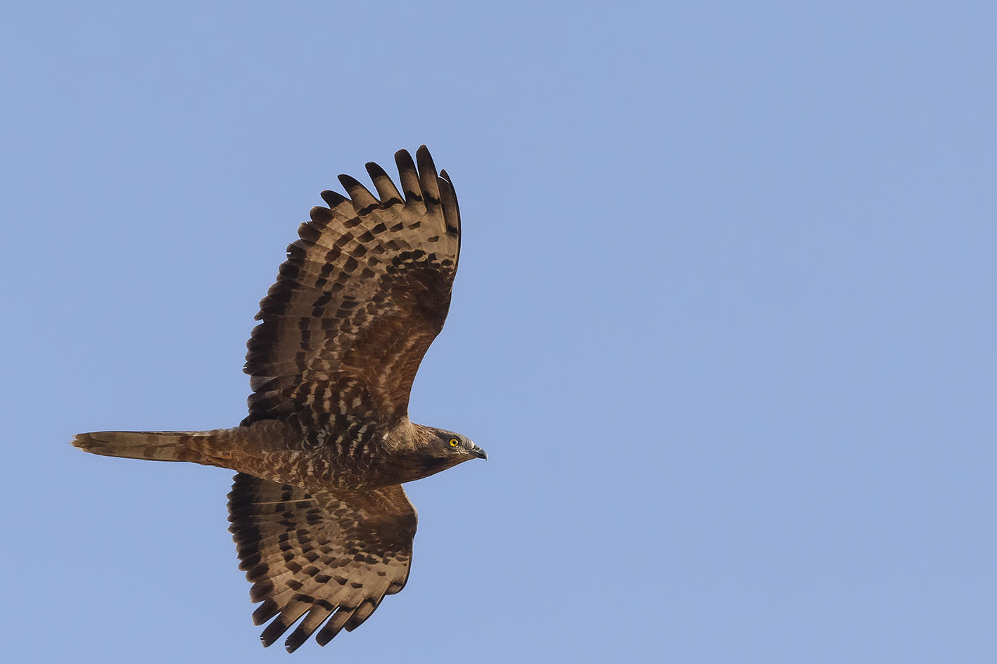 E' passato a salutarmi...