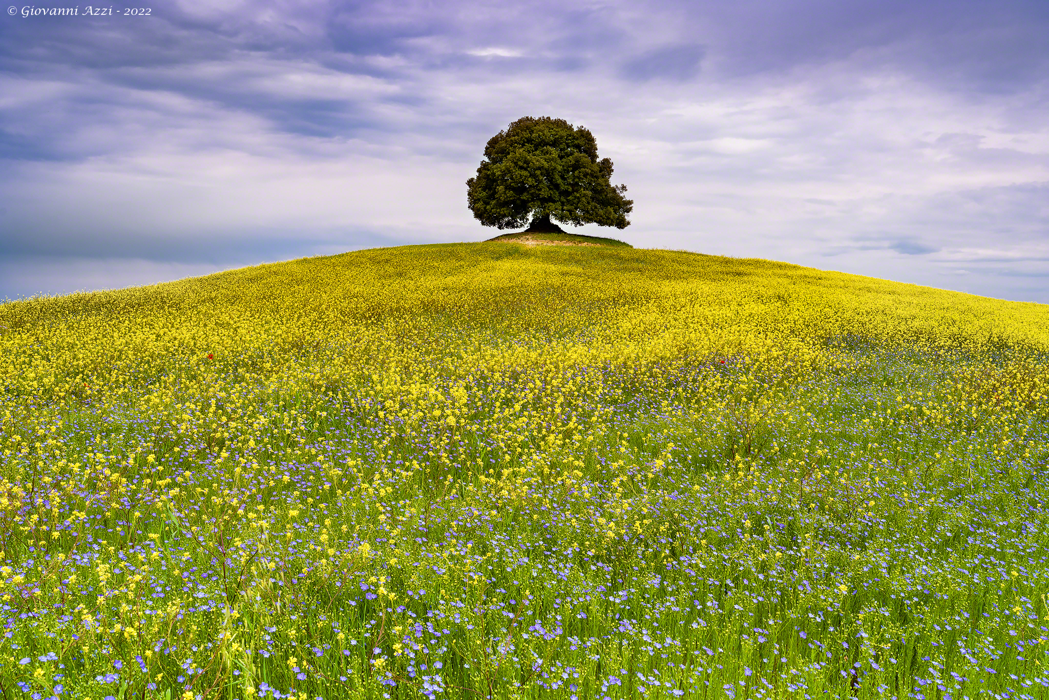 Spring in the Crete Senesi