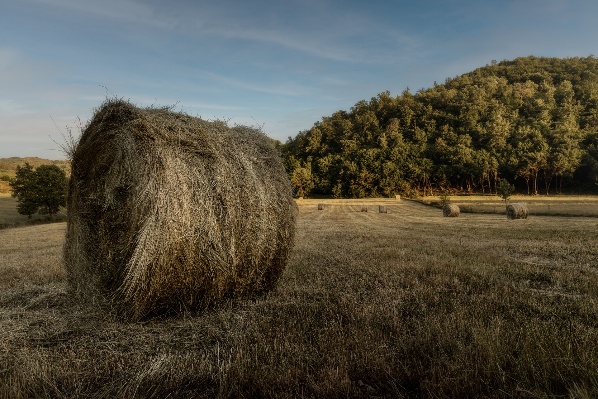 Bales, bales and bales.