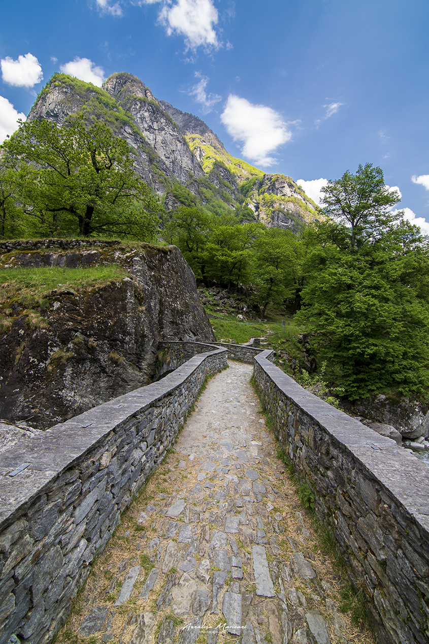 Maggia Valley