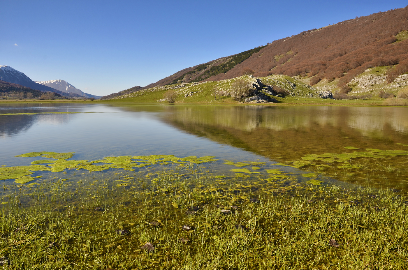 Laghetto primaverile