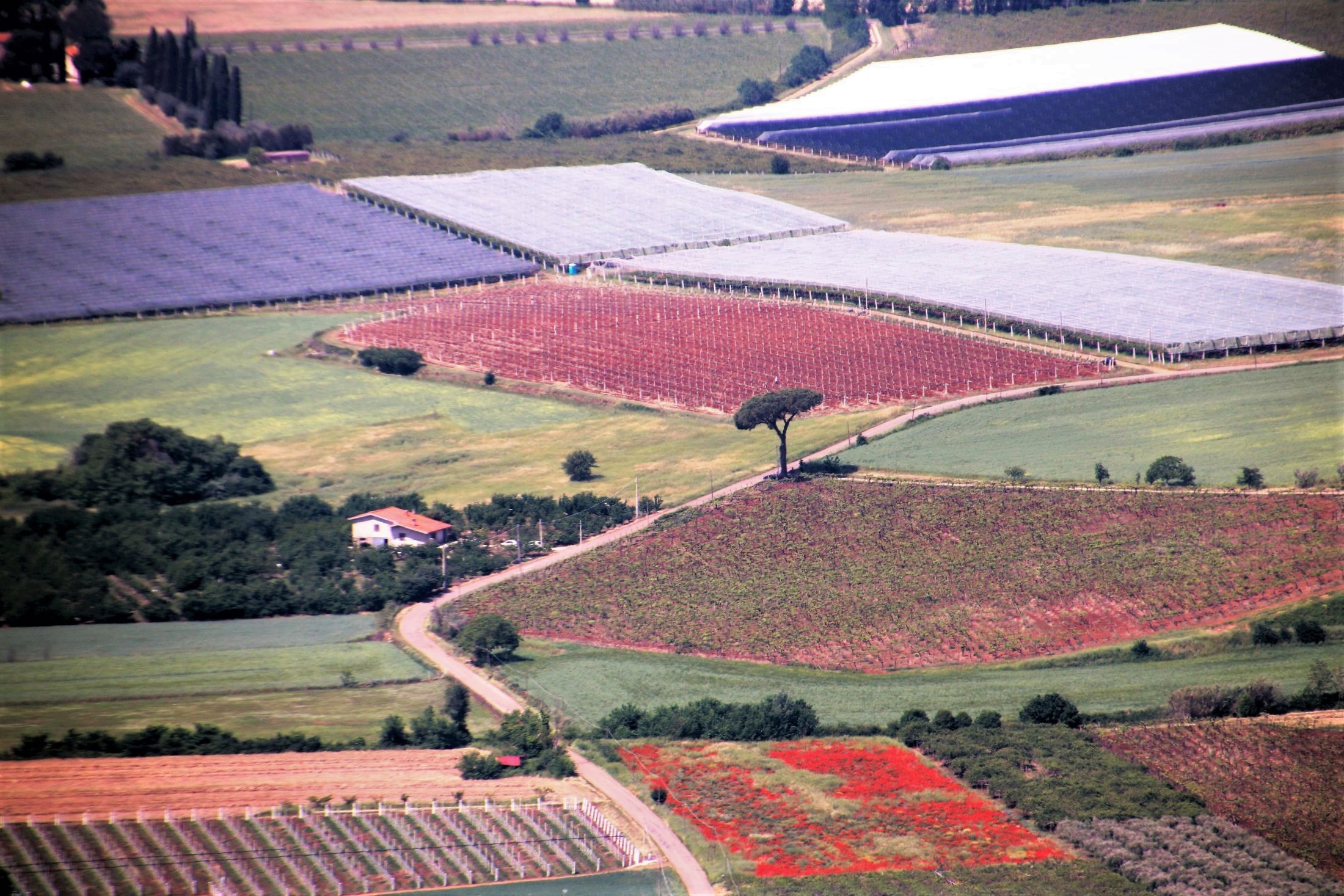 Agro pontino
