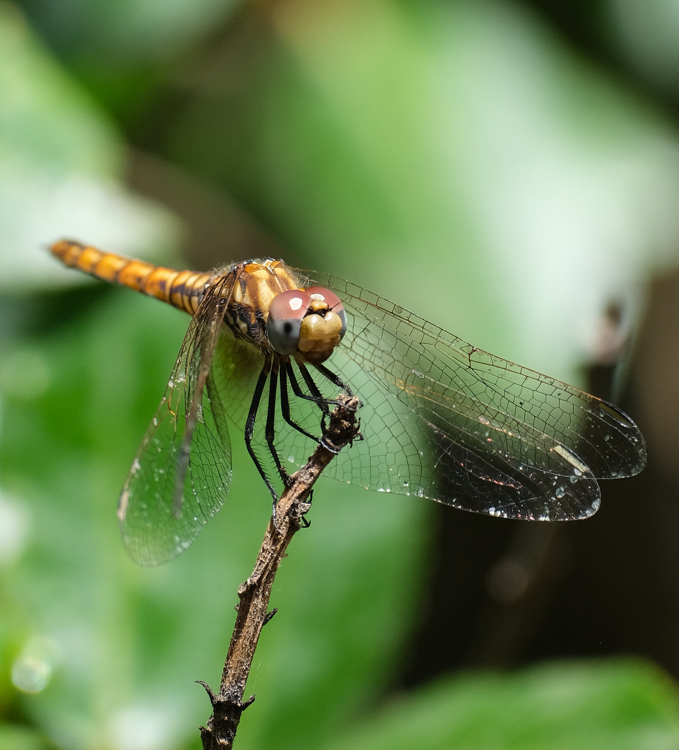 I'll take a moment ..