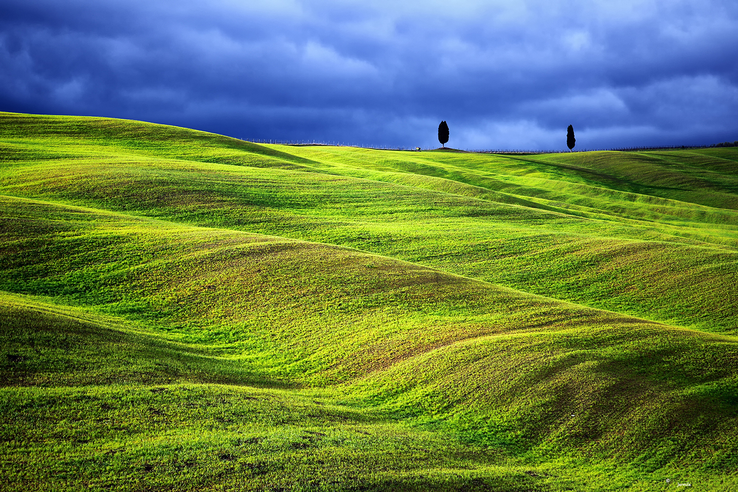 Among the green waves of the Val d'Orcia