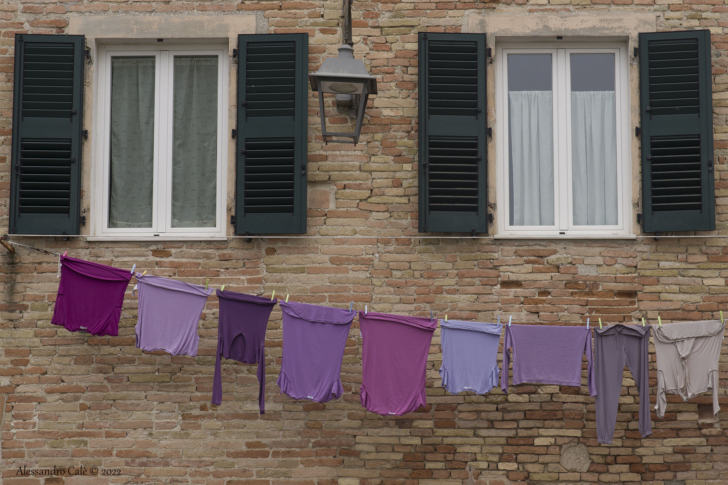 Tutte le sfumature di viola 6479