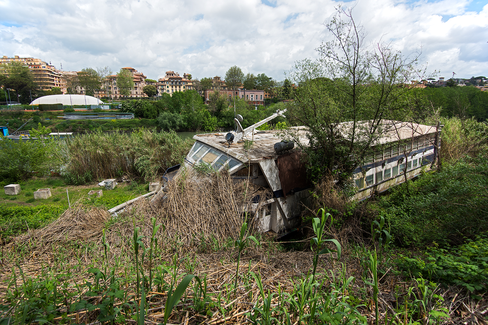 On the banks of the Tiber