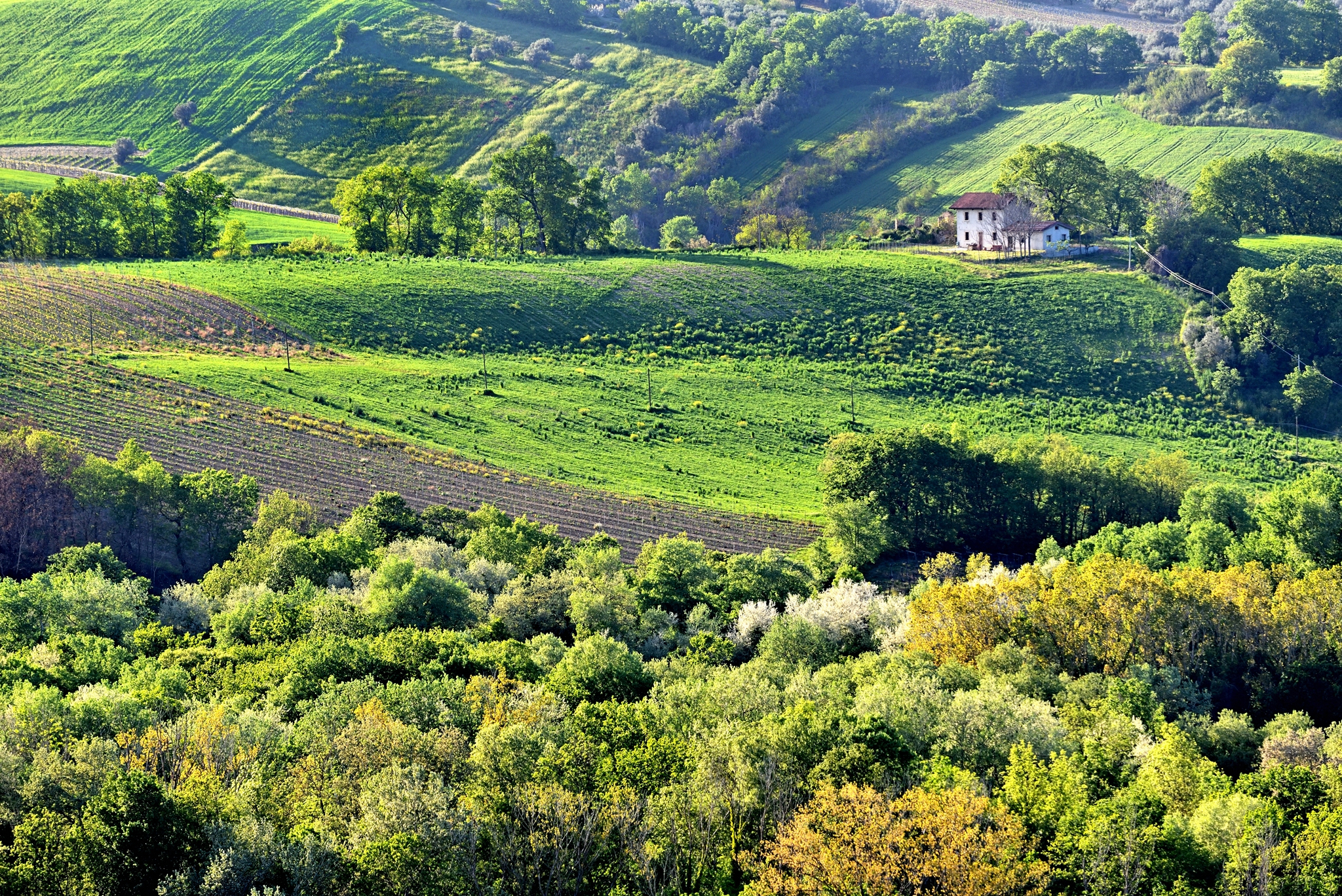 Primavera in campagna