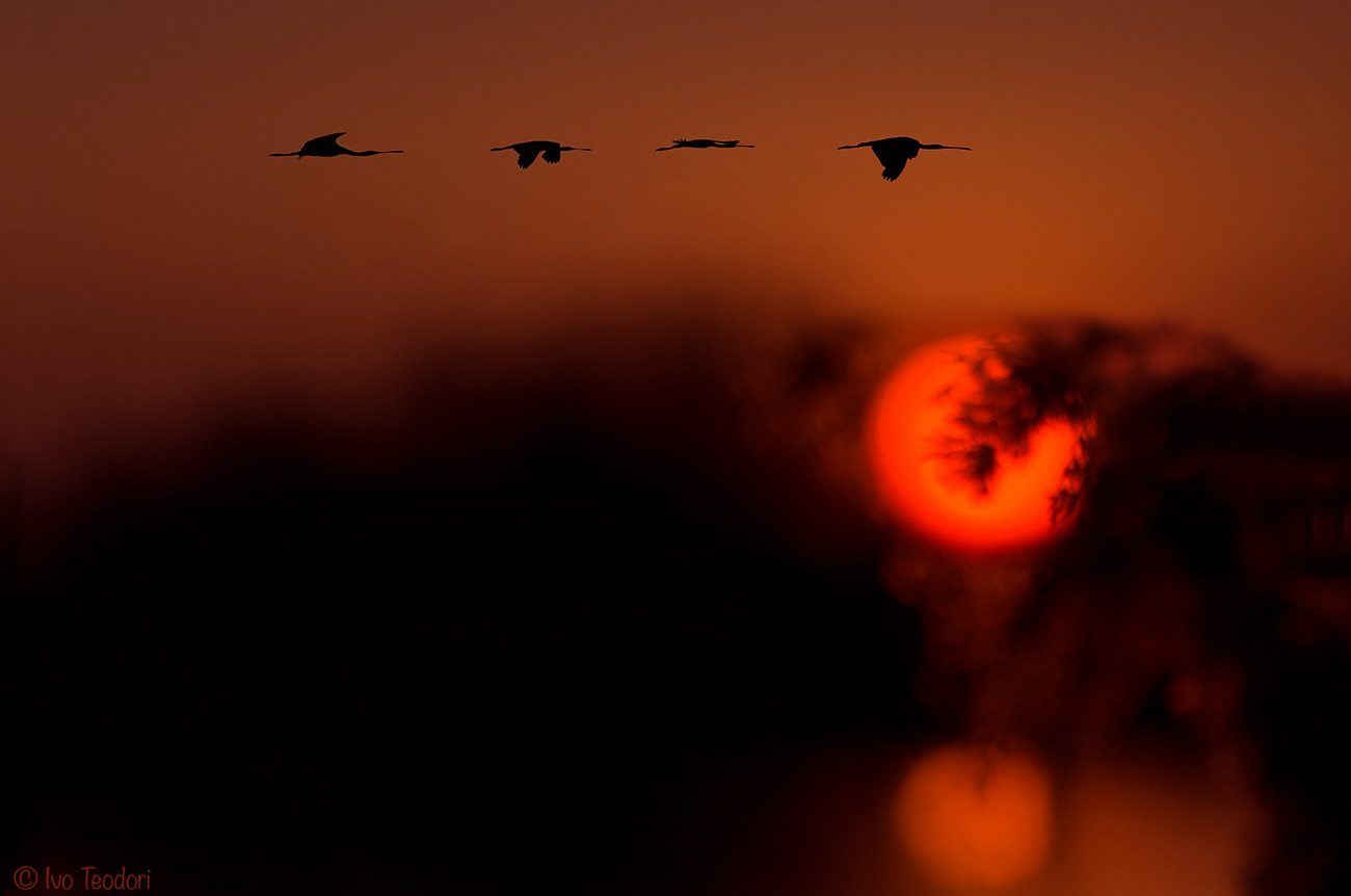 La notte incombe, meglio rientrare.