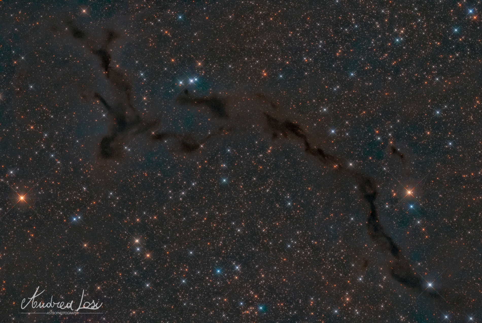 ldn 1082-nebulosa cavalluccio marino