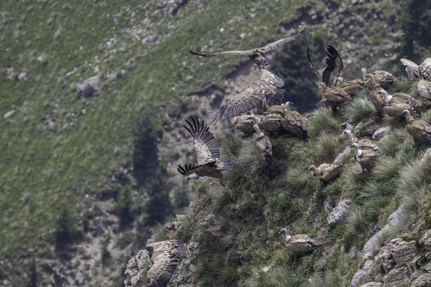 Riunione di condominio