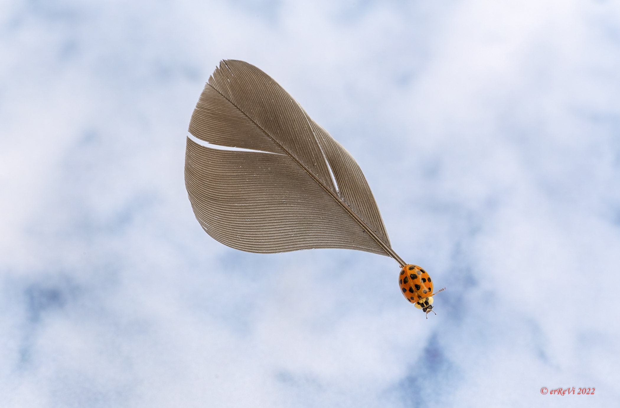 Ehi laggiù, ciaooo...