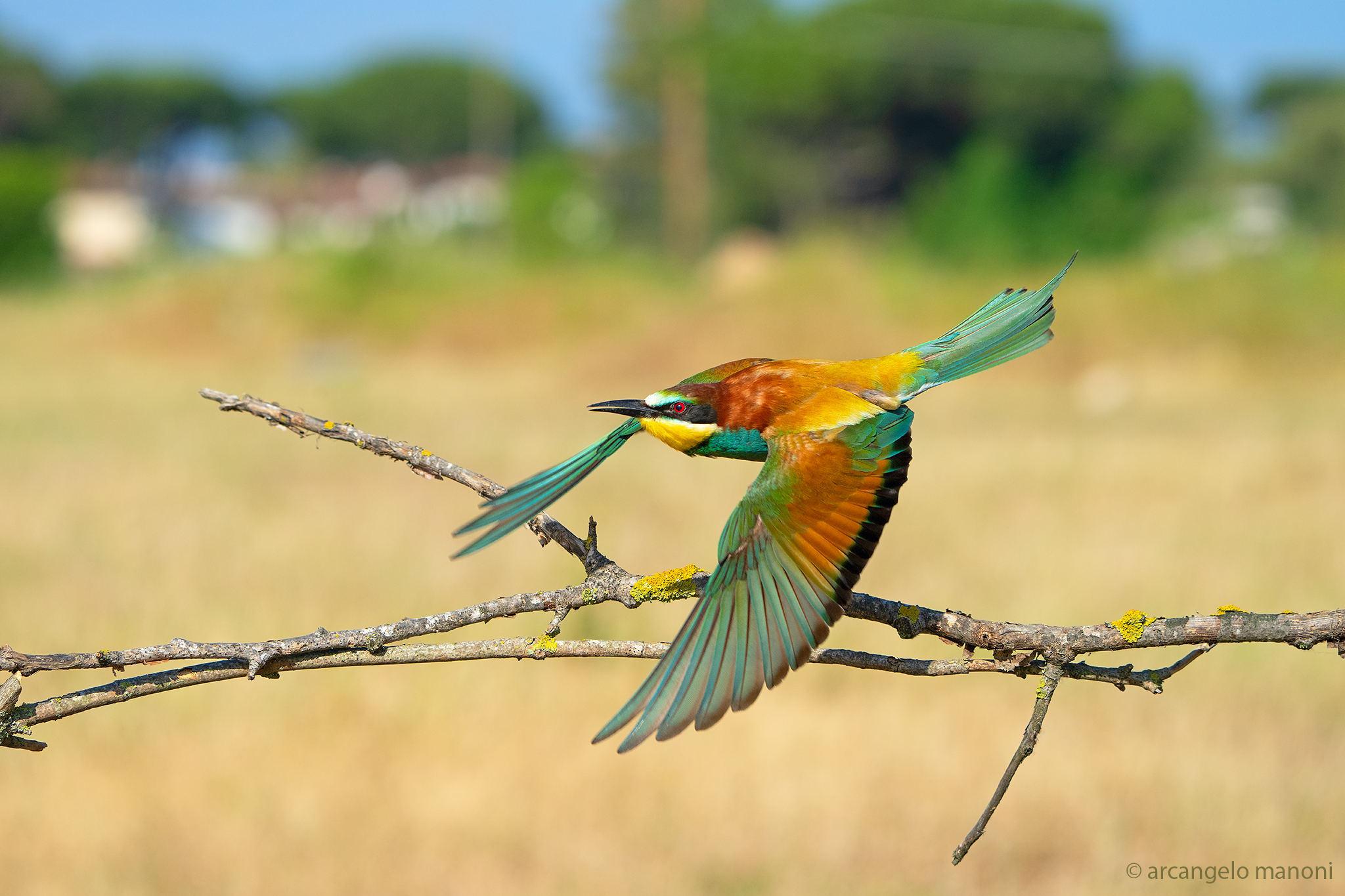 Passaggio a nord - ovest